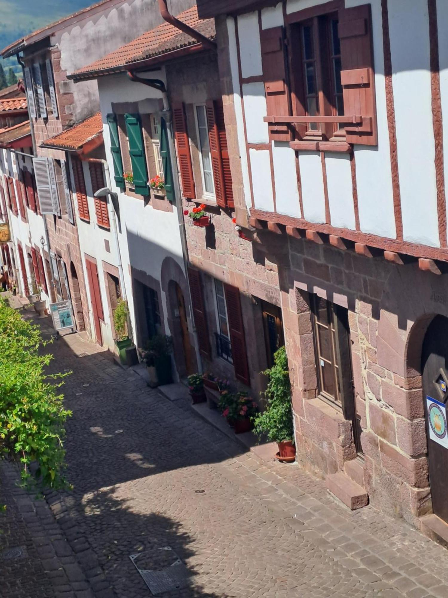 Maison Gohora Dago Saint-Jean-Pied-de-Port Εξωτερικό φωτογραφία